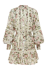 Winter Garden Party Mini Dress