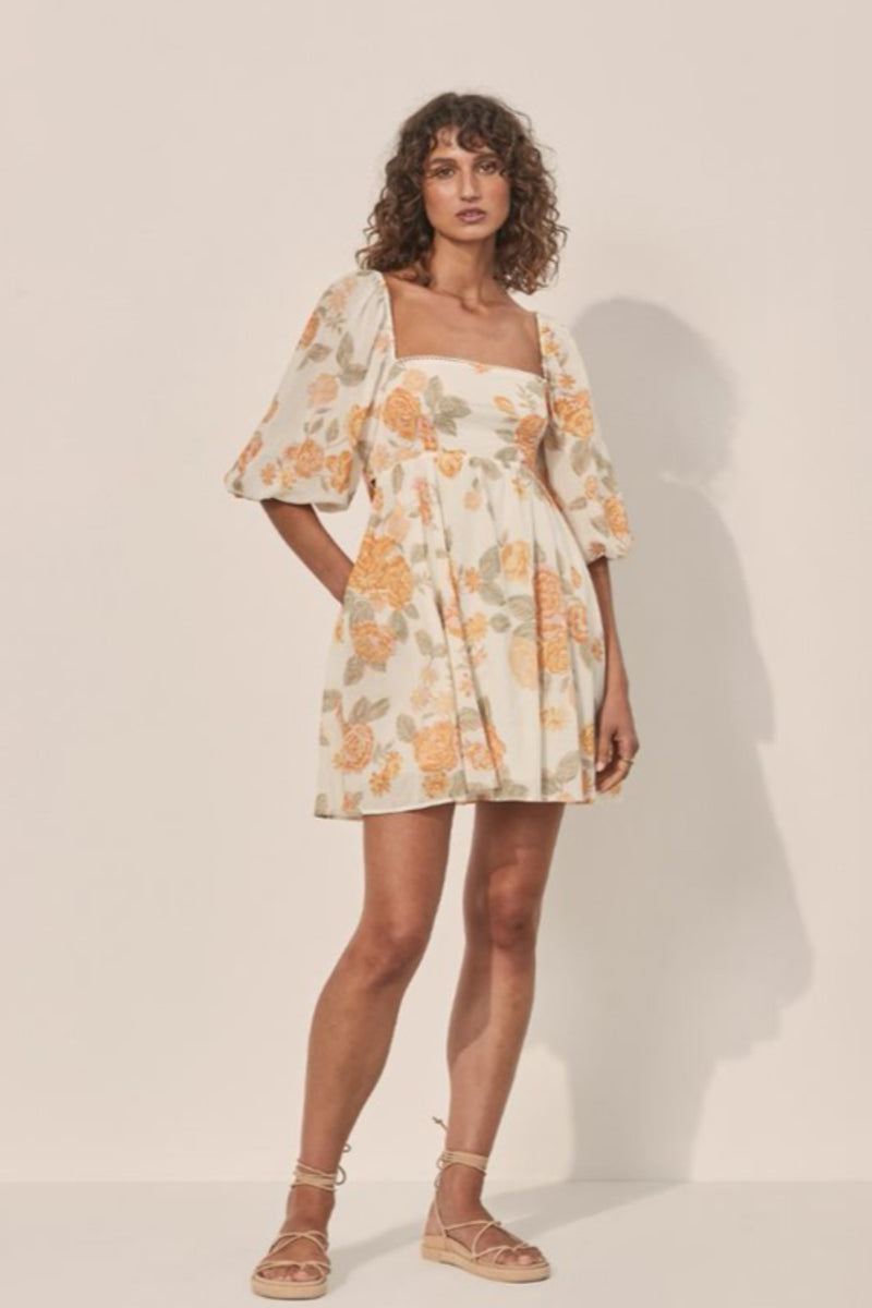 Blake Blouson Sleeve Tie Back Mini Dress